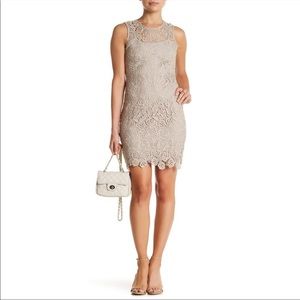 NWT Calvin Klein lace overlay sleeveless dress